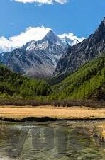 2021国产麻豆剧传媒在线-2021年国产麻豆剧传媒在线的多元化与创新趋势