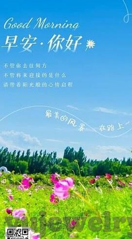 大象视频官方主页-探索大象视频官方主页，内容丰富、功能强大的娱乐新视界