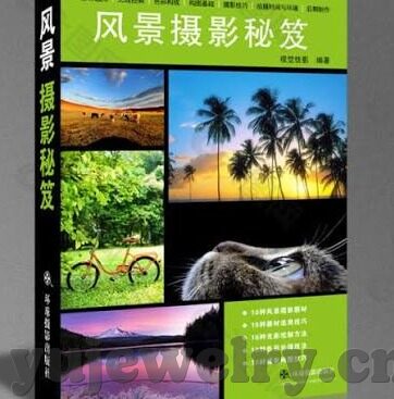 国产91精品一区二区麻豆网站-论国产影片平台的多元发展与文化内涵