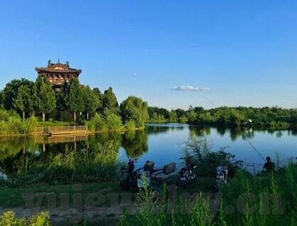 麻豆91精品视频-解密麻豆91精品视频，隐蔽的互联网文化现象的多角度透视