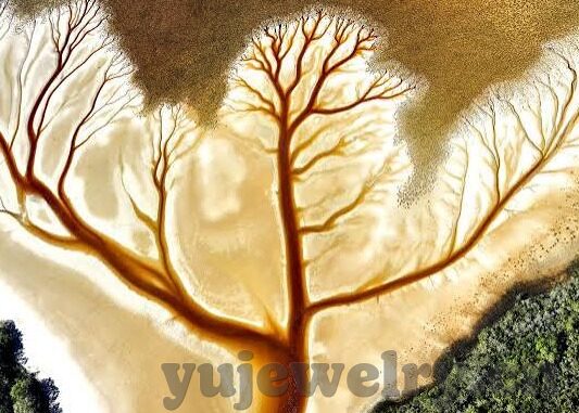 企业伦理学-探索企业伦理学的多维视角，构建和谐商业环境的关键