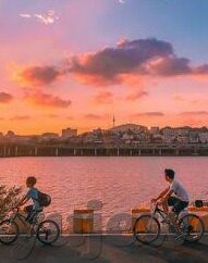 糖心vlog破解版下载-糖心vlog全面指引，解锁生活记录的创意视角